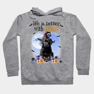 Black Labrador Witch Hat Life Is Better With Dogs Halloween Hoodie